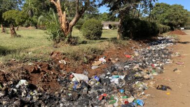 Littering in Zimbabwe: Litter close to council premises in a Suburb in Harare